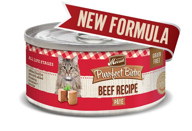Merrick Purrfect Bistro GF Beef Pate Wet Cat Food, 5.5 oz, 24 ct