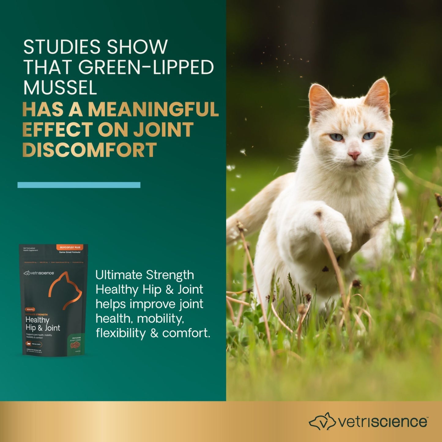 Vetriscience Cat Ultimate Strength Healthy Hip & Joint Chews Creamy, view 4