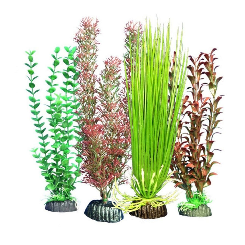 Weco Products Freshwater Aquarium Plant 103 Assorted, Multipack
