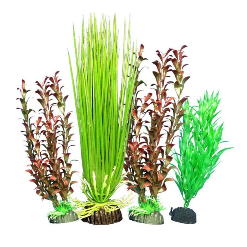 Weco Products Freshwater Aquarium Plant 106 Assorted, Multipack