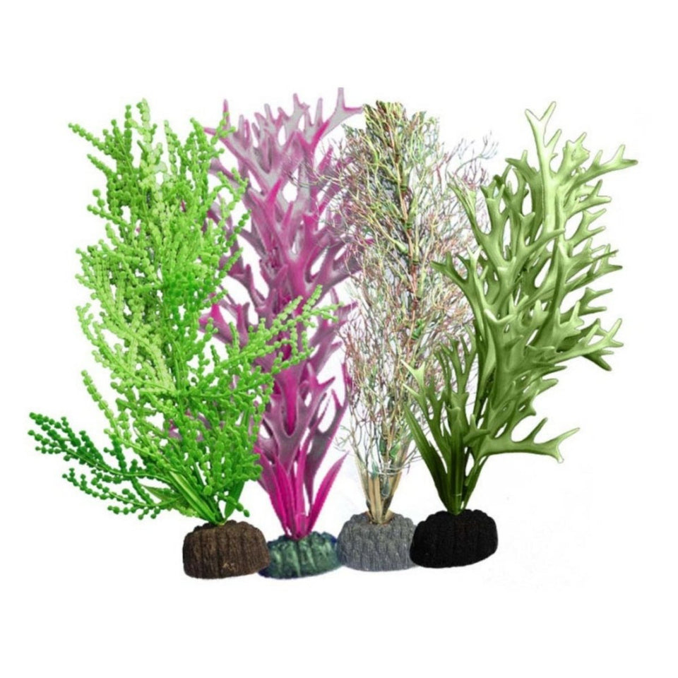 Weco Products Marine Plant 110 Assorted, Multipack