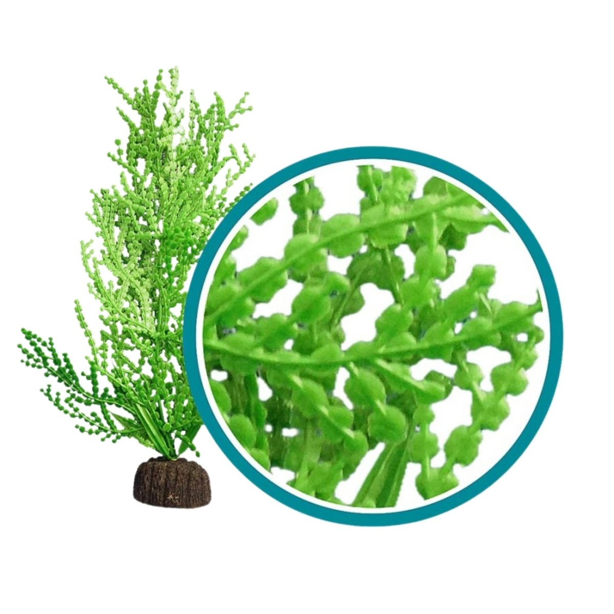 Weco Products Marine Pro Series Giant Halimeda Aquarium Plant Green, 1ea/6 in - Pets Perfect
