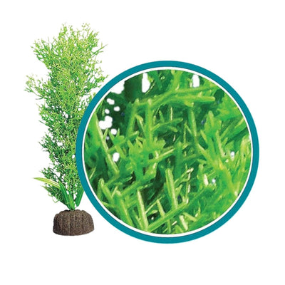 Weco Products Marine Pro Series Bushy Kelp Aquarium Plant Green, 6 in
