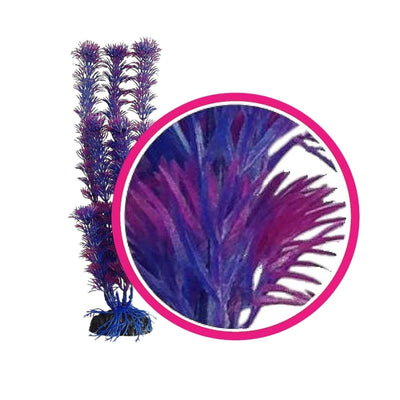 Weco Dream Series Fuschia Fern Aquarium Plant, Pink, Purple, 6 in
