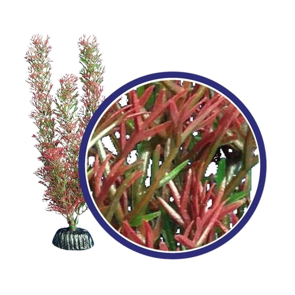 Weco Products Freshwater Series Foxtail Aquarium Plant, Red, 9 in