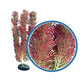 Weco Products Freshwater Pro Series Cabomba Aquarium Plant Red, 1ea/9 in - Pets Perfect