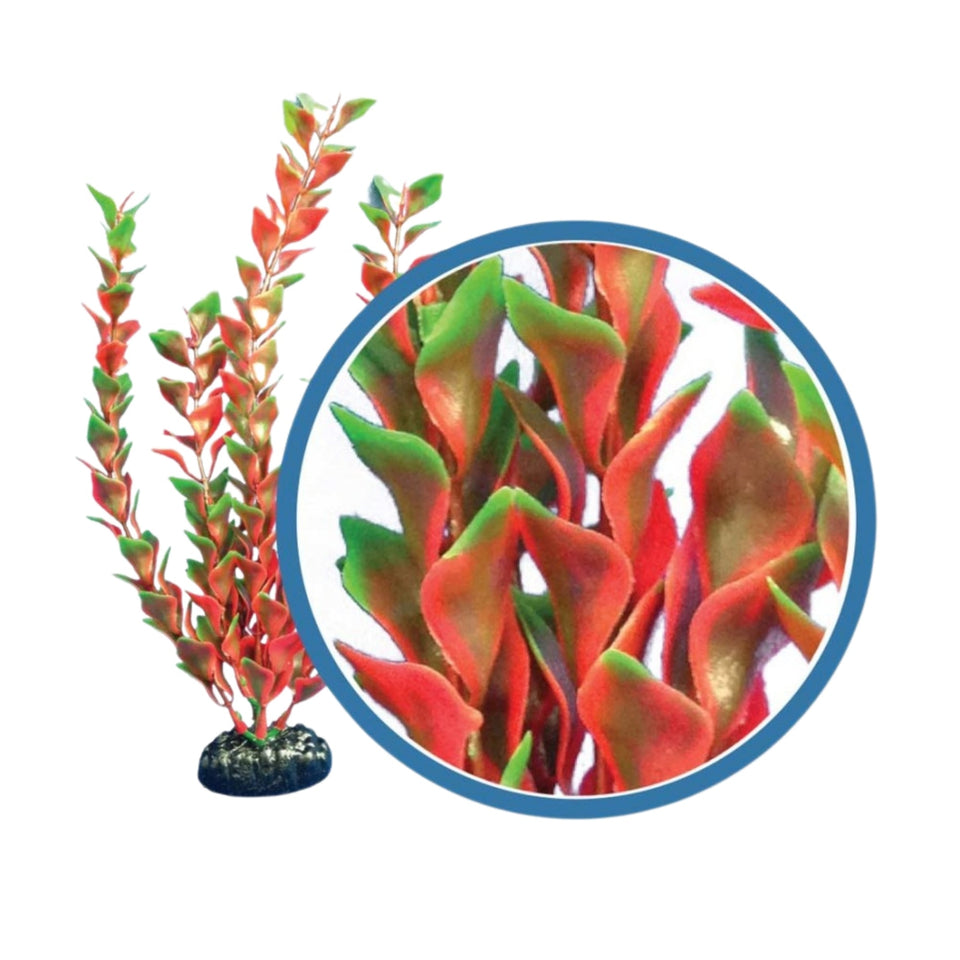 Weco Products Freshwater Pro Series Ludwigia Aquarium Plant Red, 1ea/9 in
