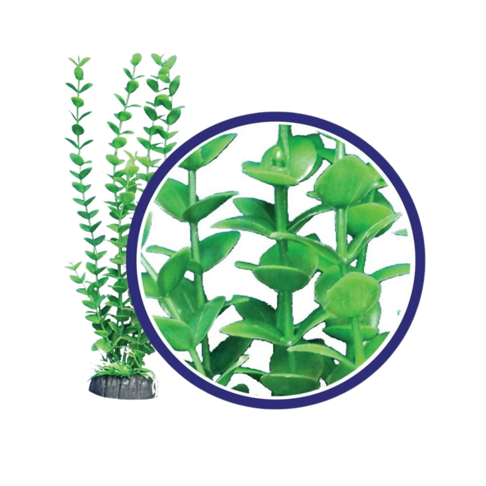 Weco Products Freshwater Series Bacopa Aquarium Plant Green, 1ea/12 in