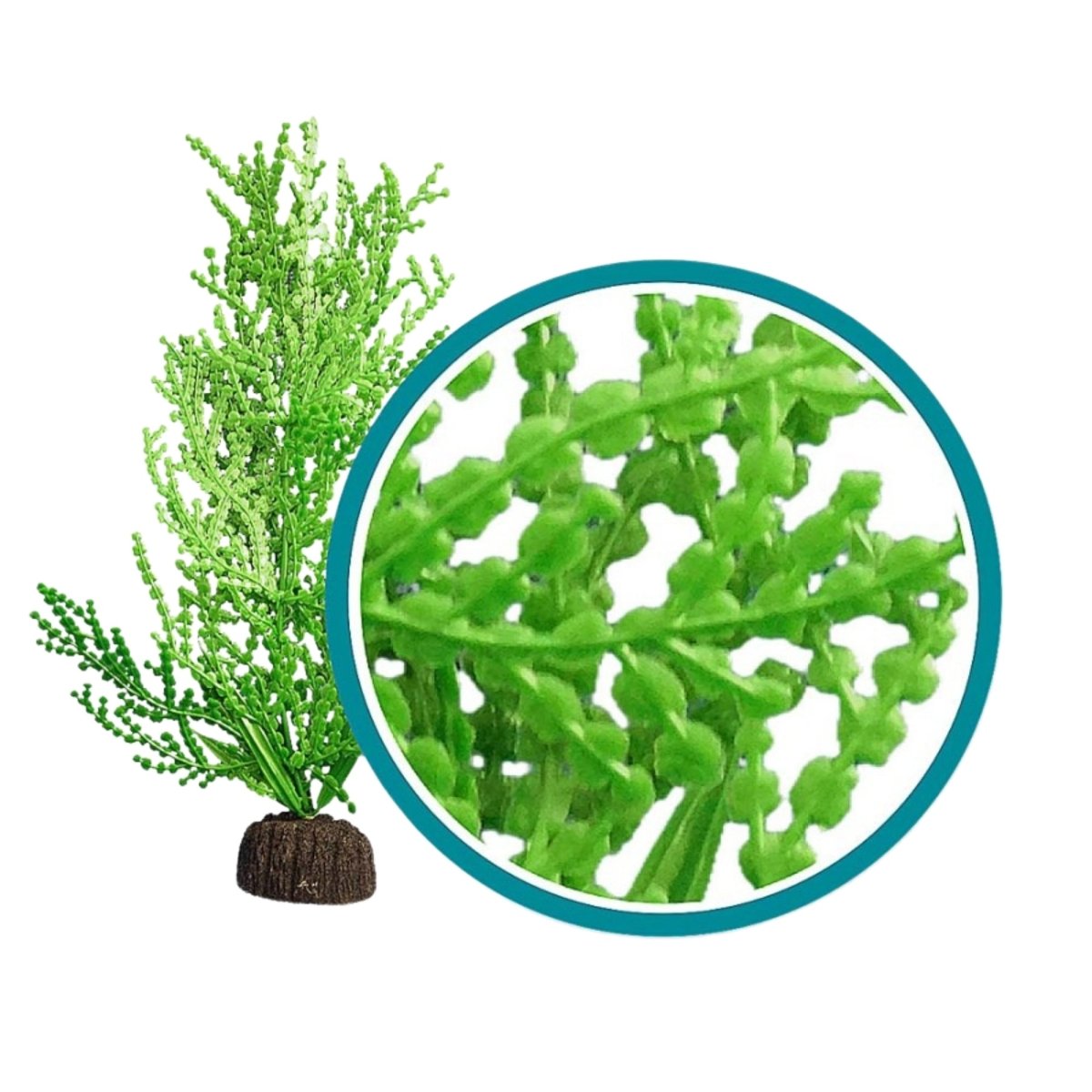 Weco Products Marine Pro Series Giant Halimeda Aquarium Plant Green, 1ea/12 in - Pets Perfect