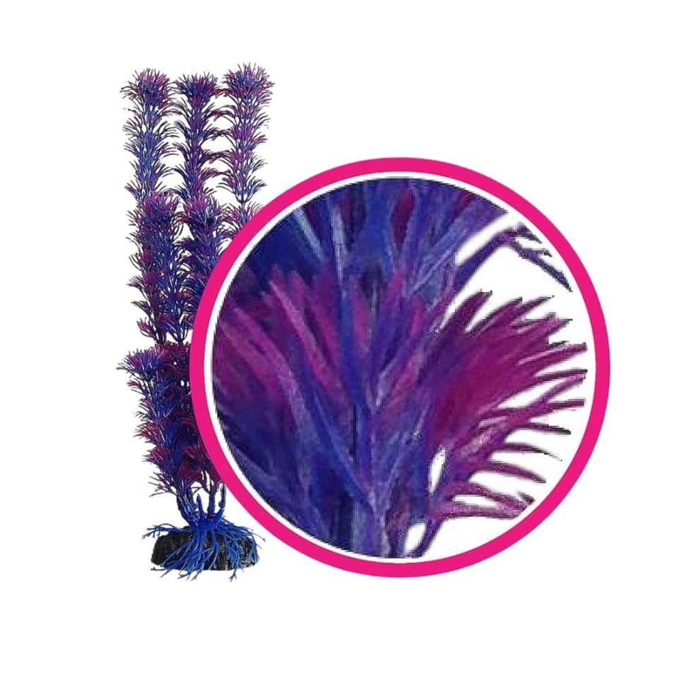 Weco Dream Series Fuschia Fern Aquarium Plant, Pink, Purple, 12 in