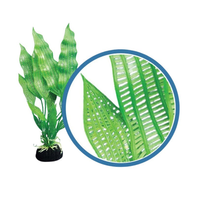 Weco Freshwater Pro Series Madagascar Lace Aquarium Plant, Green