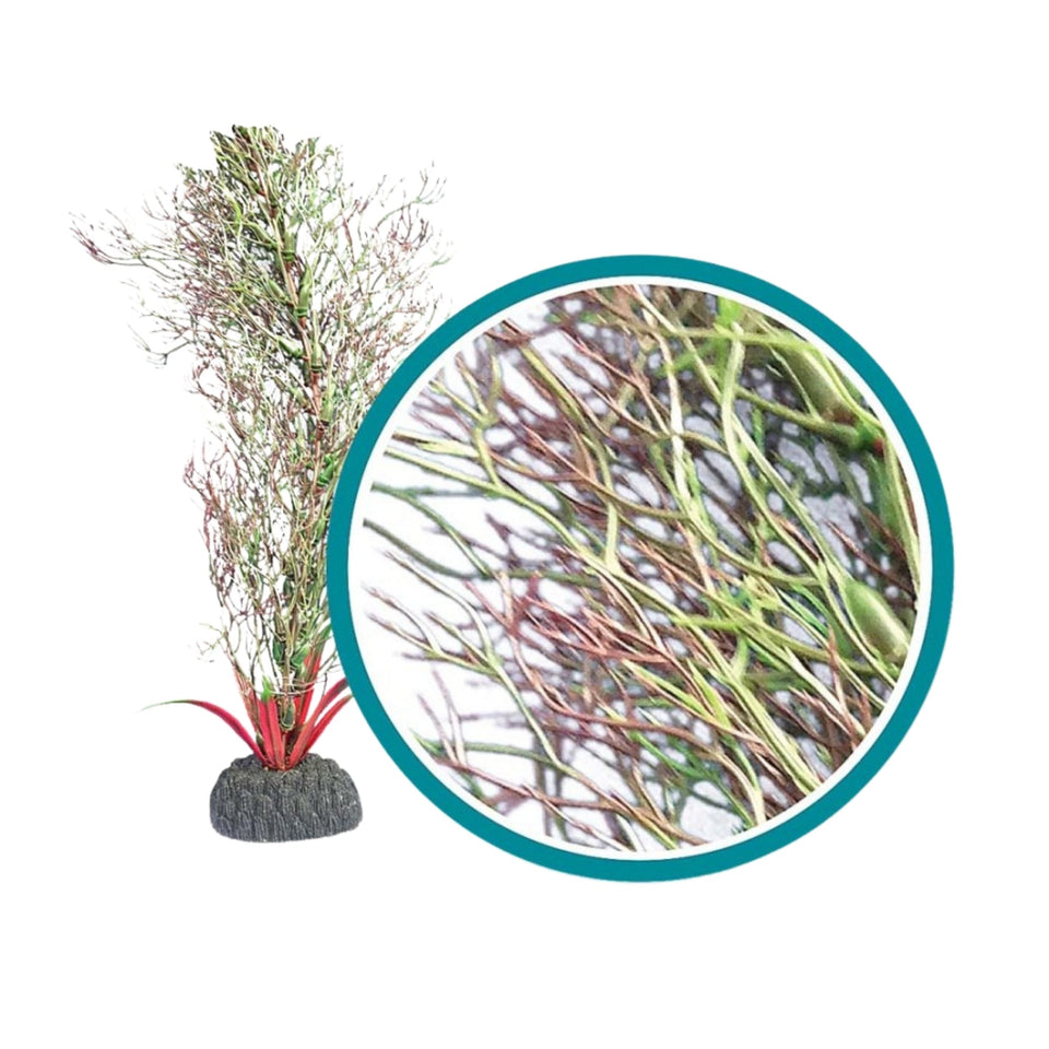 Weco Marine Pro Series Fine Branch Kelp Aquarium Plant, Green, 24 in