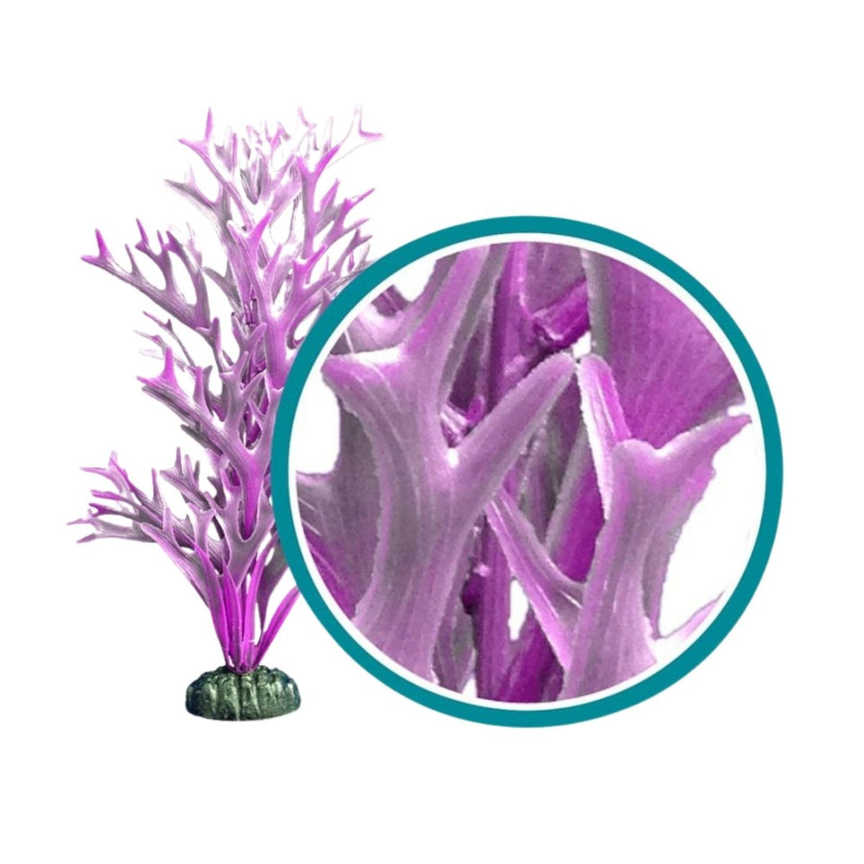 Weco Marine Pro Series Giant Kelp Aquarium Plant Purple, 30 in, Giant