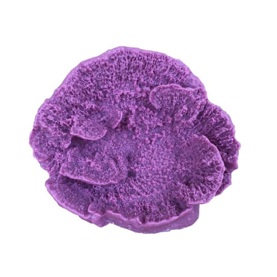 Weco Products South Pacific Coral Capricornis Ornament Lavender, Small
