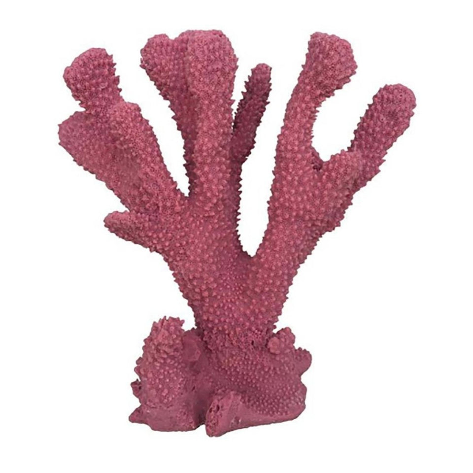 Weco Products South Pacific Coral Cats Paw Ornament Rose, Medium