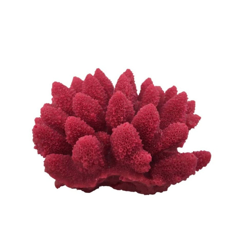 Weco South Pacific Coral Acorapora Humilis Ornament Rose, Small