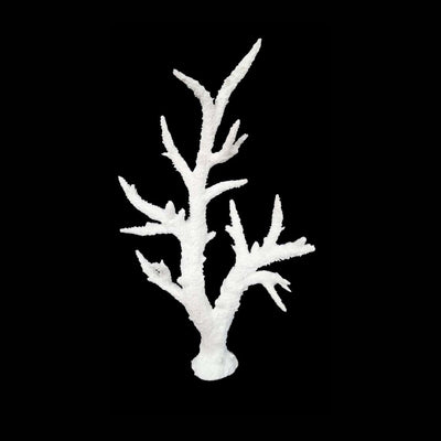 Weco Products South Pacific Coral Staghorn Tall Ornament White, Medium