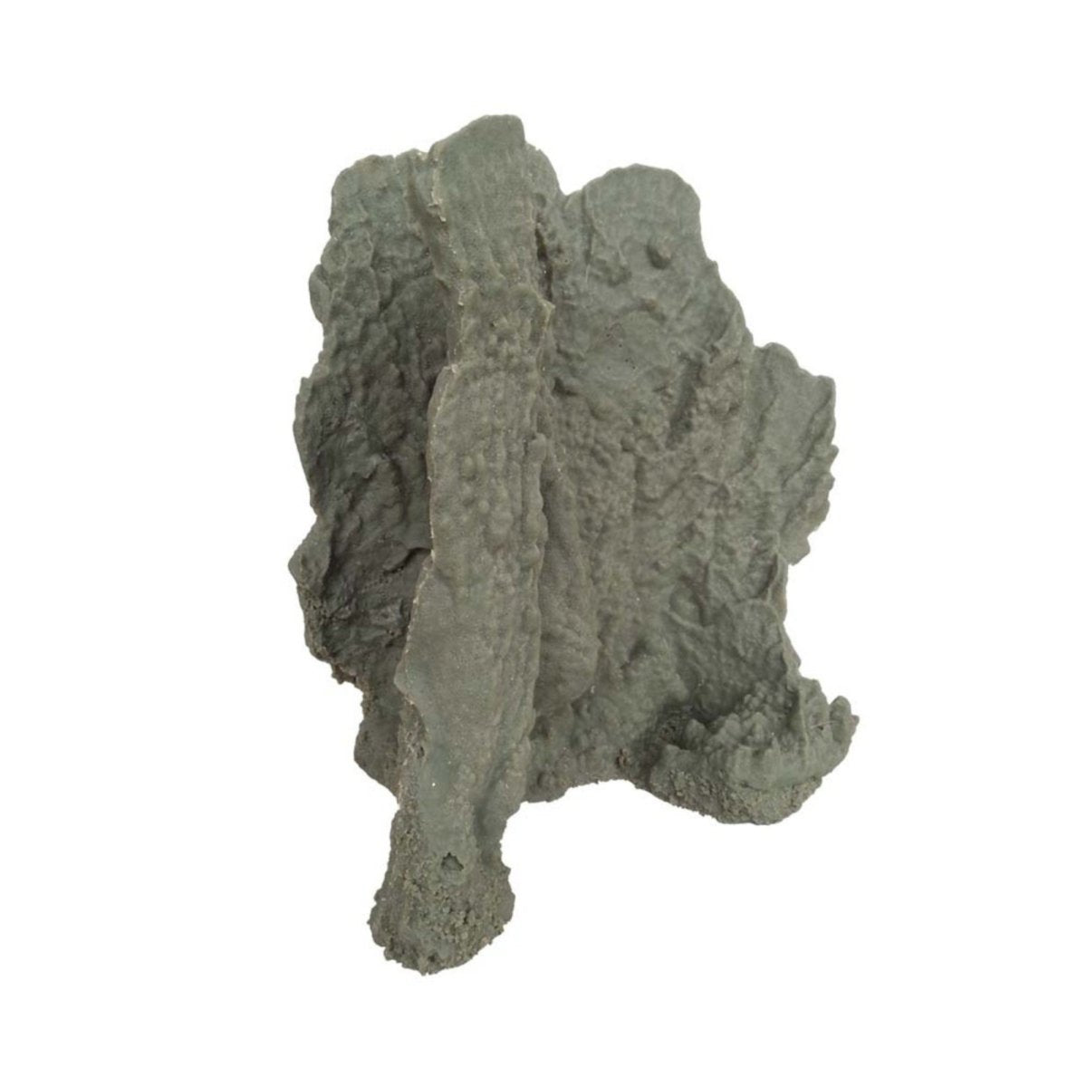 Weco Products South Pacific Coral Blueridge Ornament Grey, 1ea/LG - Pets Perfect