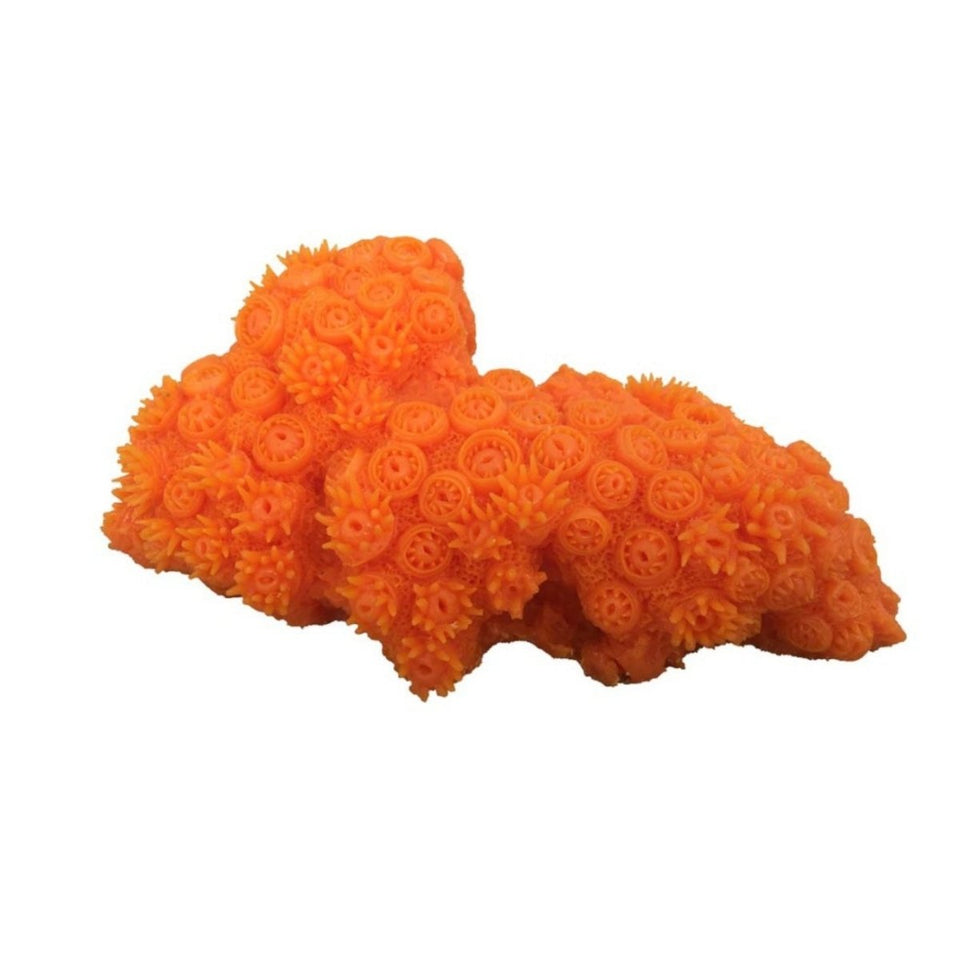 Weco Products South Pacific Coral Tubastrea Ornament Orange, Medium