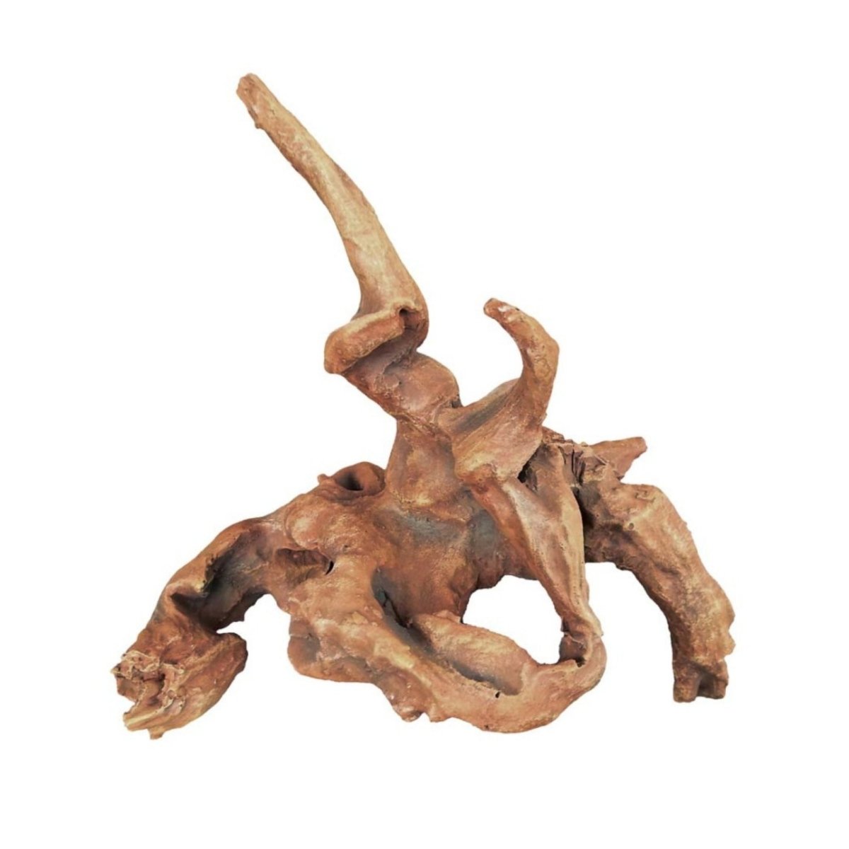 Weco Products Wecorama Aquarama African Wood Brown, 1ea/6.32 in, XS - Pets Perfect
