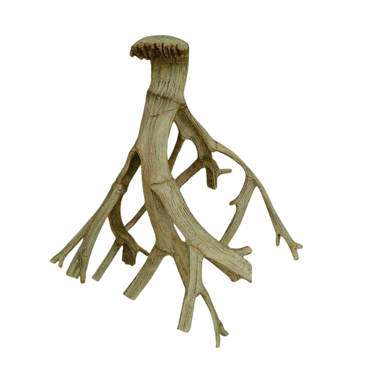 Weco Products Wecorama Aquarama Bone Root Brown, 1ea/SM - Pets Perfect