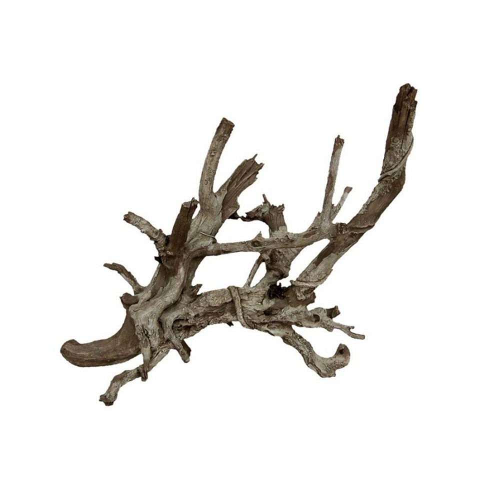 Weco Products Wecorama Aquarama Wicked Branch Show Grey, Brown