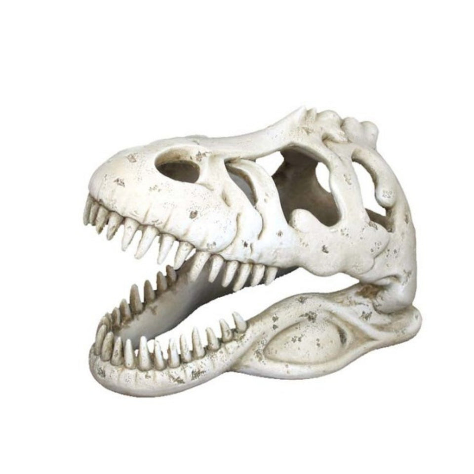 Weco Products Wecorama Catacombs T-REX Skull Aquarium Ornament White
