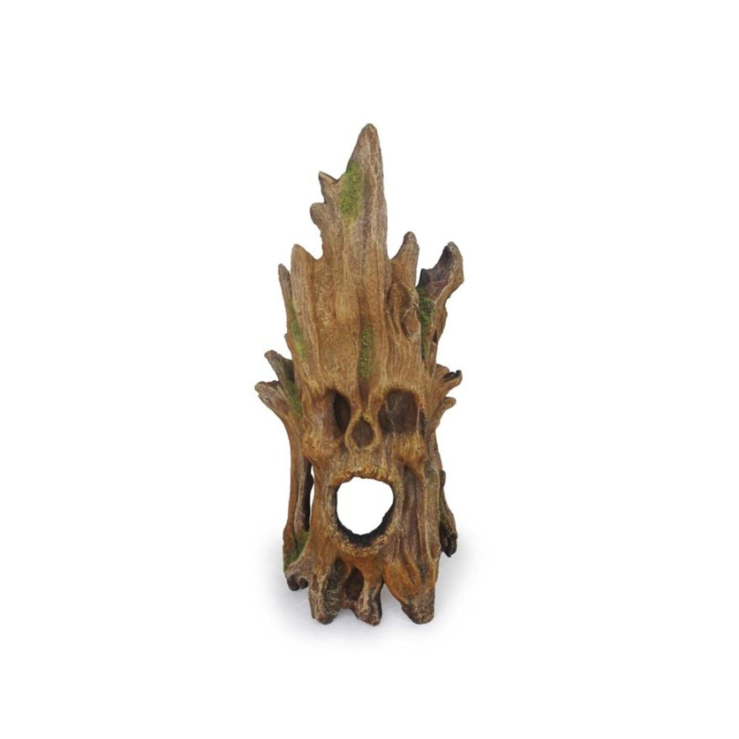 Weco Wecorama Sleepy Hollows Wicked Bark Terrarium Ornament, Brown/Green, Medium