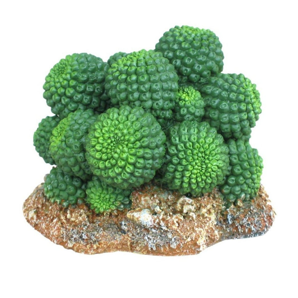 Weco Wecorama Badlands Sonoran Cactus Terrarium Ornament, Brown, Green