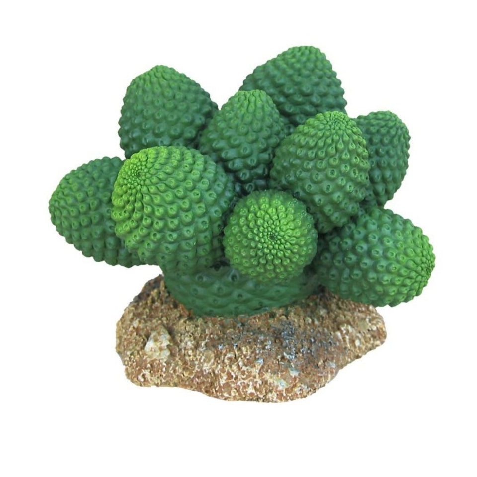 Weco Wecorama Badlands Pointed Sonoran Cactus Terrarium Ornament, 3 in