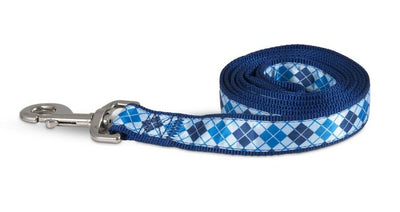 Aspen Ribbon Overlay Dog Leash Blue 1 in x 6 ft