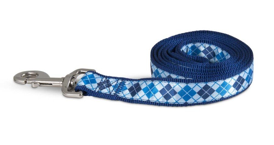 Aspen Ribbon Overlay Dog Leash Blue 1 in x 6 ft
