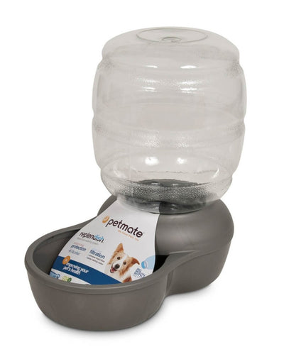 Petmate Replendish Water With Microban Mason, Silver Medium - Pets Perfect