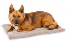 Petmate Kennel Dog Mat, Grey, 23.5 in x 16.5 in - Pets Perfect