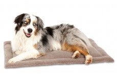 Petmate Kennel Dog Mat, Grey, 28.5 in x 18.5 in - Pets Perfect