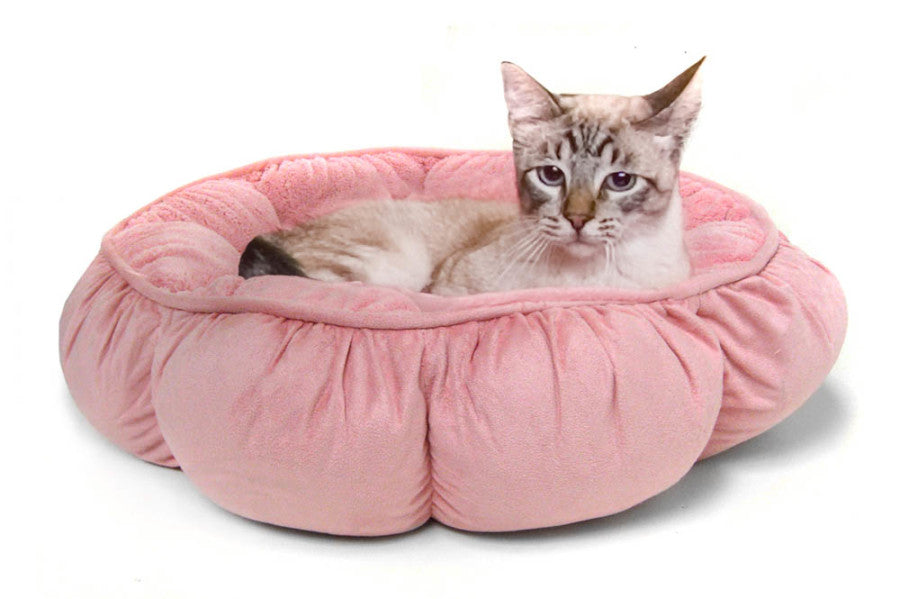 Aspen Puffy Round Pet Bed Assorted 18 in