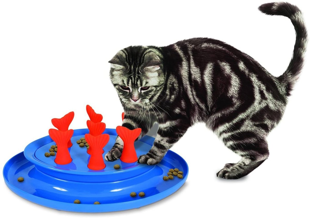 Jackson Galaxy Go Fish Puzzle Bowl and Cat Toy Blue, Orange 1ea/One Size - Pets Perfect