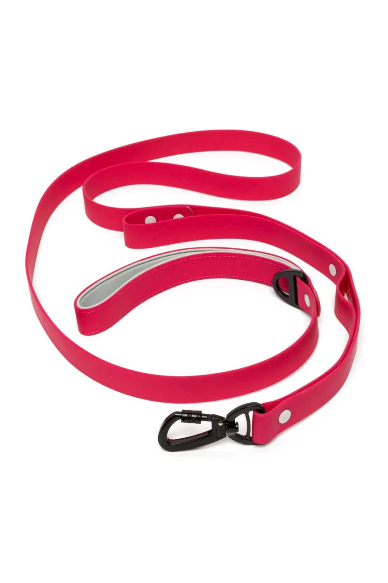 Red Mountain Syrah Waterproof Dog Leash, Fuchsia / Gray