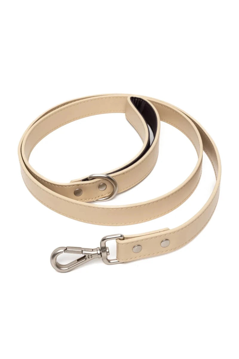 Champagne Fizz Vegan Leather Dog Leash - Pets Perfect