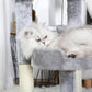 Paw Print Cat Climbing Frame - 2 - Tier Sisal Scratching Tower with Toy - Pets Perfect