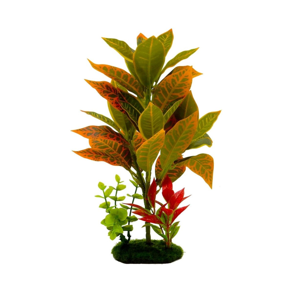 Blue Ribbon Tropical Gardens Croton Petra Aquarium Plant, 11.5 in