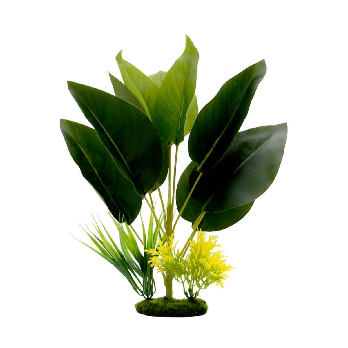 Blue Ribbon Pet Products Tropical Gardens Bird of Paradise Aquarium Plant 1ea/14in. - Pets Perfect