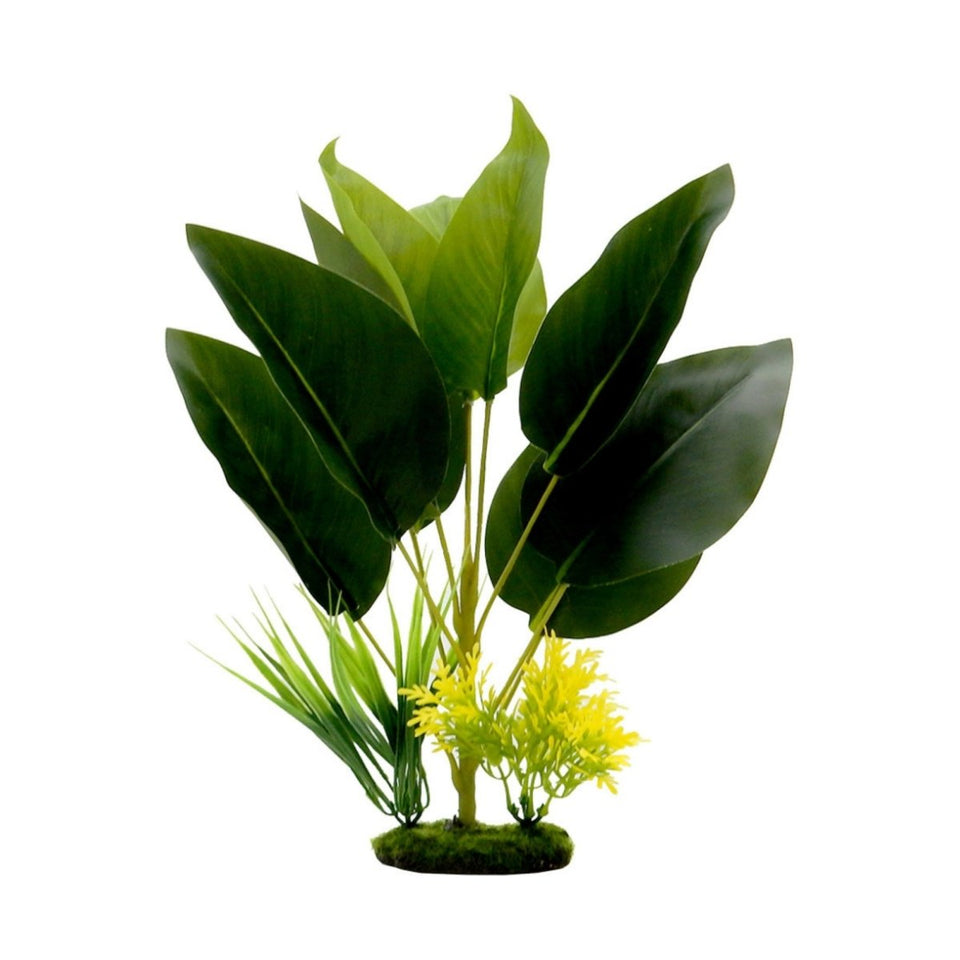Blue Ribbon Tropical Gardens Bird of Paradise Aquarium Plant, 14 in