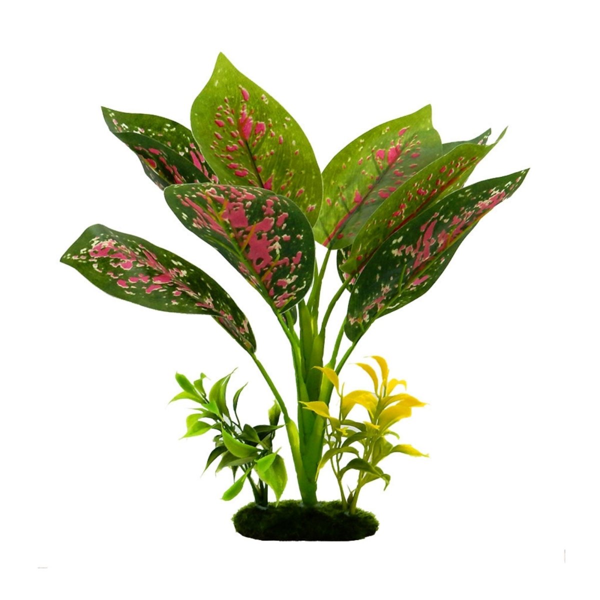 Blue Ribbon Pet Products Tropical Gardens Chinese Evergreen Aquarium Plant 1ea/12in. - Pets Perfect