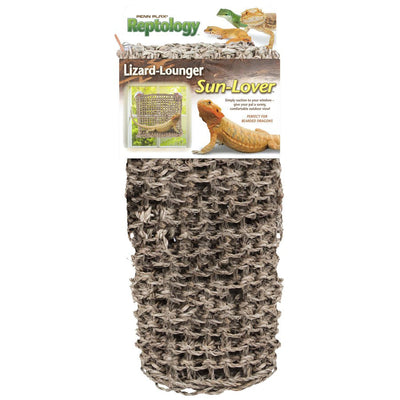 Penn-Plax Lizard Lounger Window 14X11