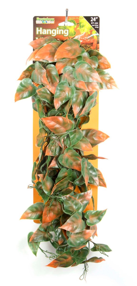 Penn - Plax Reptile Vine Green, Brown 1ea/24 in - Pets Perfect