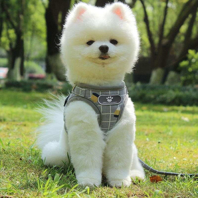 Reflective Nighttime Dog Leash With Stylish Design - Pets Perfect