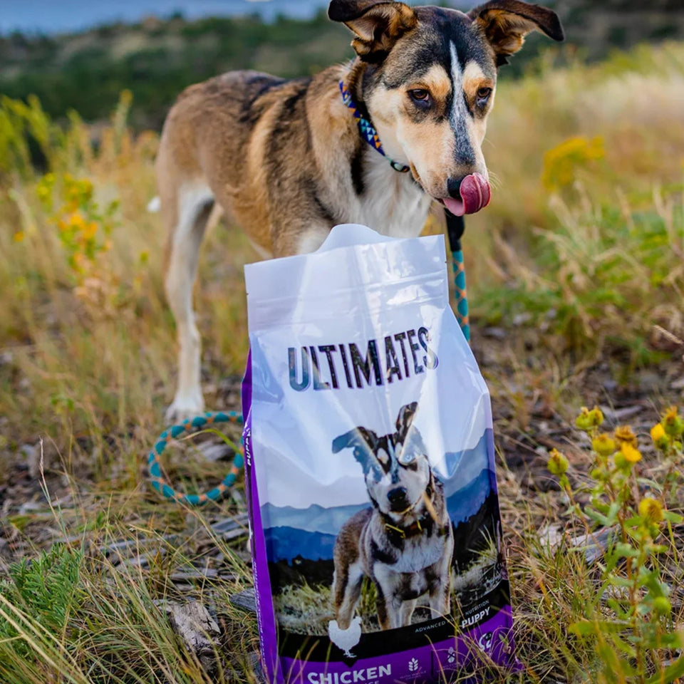 Ultimates Puppy Dry Dog Food Chicken Meal & Rice 5lb