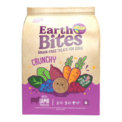 Earthborn Holistic EarthBites Lamb & Pumpkin Crunchy Dog Treats 10 oz