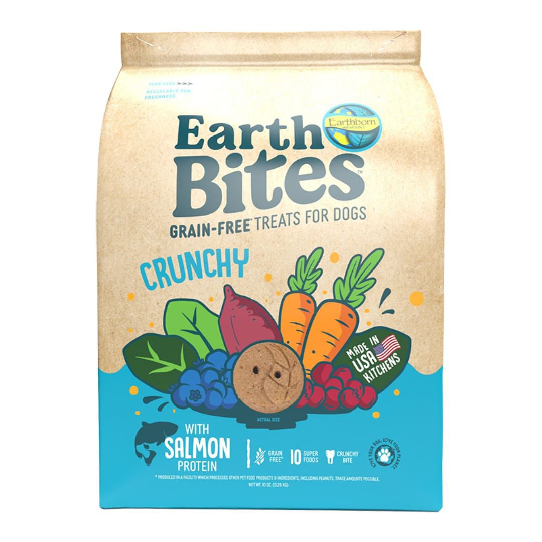 Earthborn Holistic EarthBites Salmon & Pumpkin Crunchy Dog Treats 10 oz - Pets Perfect